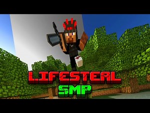 I DIED on the Lifesteal SMP*