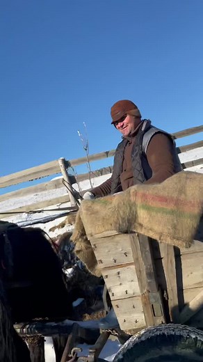 Horse-Drawn Sled Adventure in Snowy Landscape
