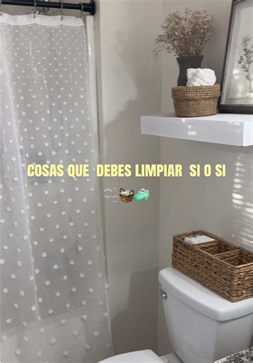 Cosas que debes limpiar sí o sí: lista esencial de limpieza