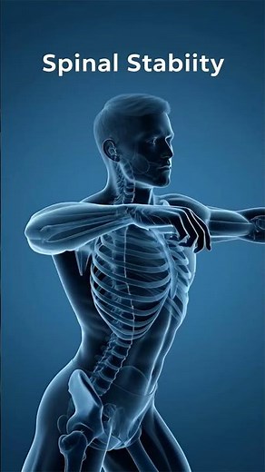 Obliques Working During Twists – 3D Anatomy Visualized