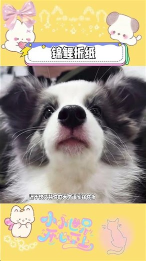 Master Koi Origami in a Blink: Tag Your Genius Friend