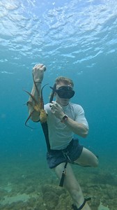 2.7M views · 127K reactions | This was one of the coolest demonstrations I’ve seen of camouflage in the wild | Vlad Siryk | Facebook