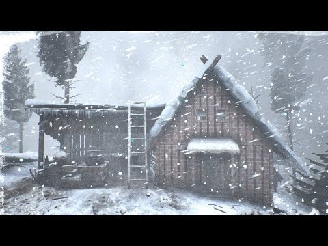 BRUTAL ARCTIC WINTER with EXTREME COLD and snowstorms for sleeping. SEVERE WINTER STORM 2024