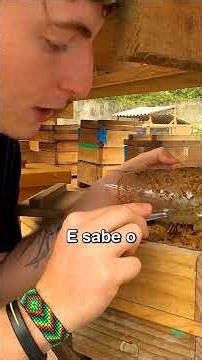 Brazilian secret that Japan wants to import - repost the journey