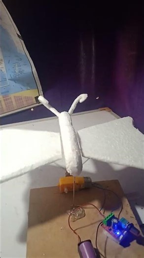 butterfly project model make. #shortsvideo #science #sensor #chemistry #physics #technology