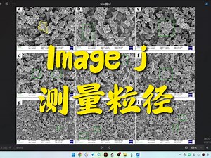 0基础3分钟Imagej图上量粒径 fiji 图片测量 距离测量