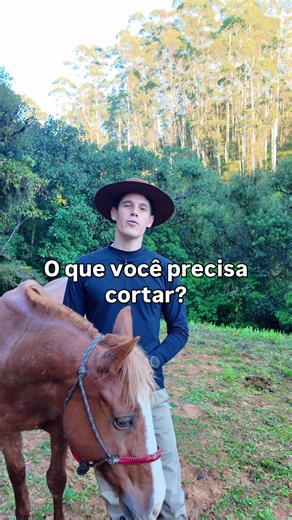 Como começar sua jornada rumo à liberdade financeira por R$0,97/dia