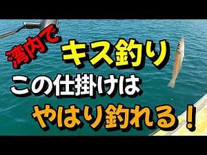 湾内で簡単キス釣り！この仕掛けはやはり釣れる！！