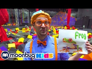 Blippi Visits an Indoor Trampoline Park (Gravady) | Blippi | Fun Educational Videos