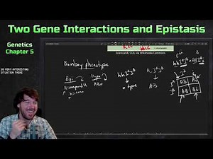 Multi-Locus Extensions of Inheritance: Two Gene Interactions and Epistasis | Genetics Ep. 15