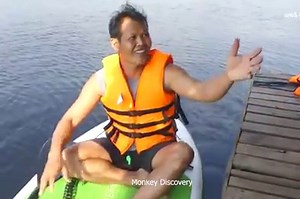 Incredible Baby Monkey Zono Jump Into The Water Swim To Grandma, She Really Worry About Baby Zono | Monkey Kid