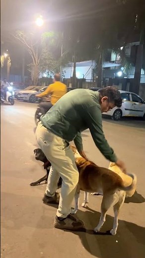 Why the Dog-Human Friendship is So Amazing🐶🐾# dog #shorts