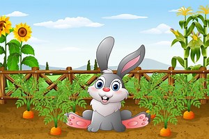 Mon petit lapin
