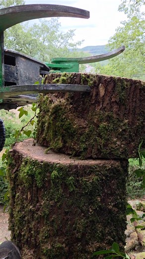 Anglade Élagage on Reels