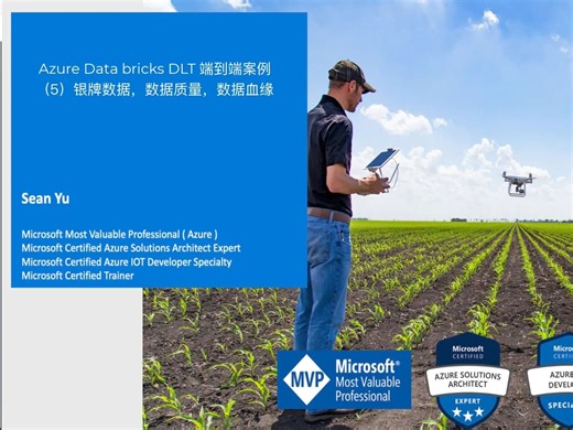 Azure Databricks DLT 端到端实验（5）银牌数据，数据质量，数据血缘