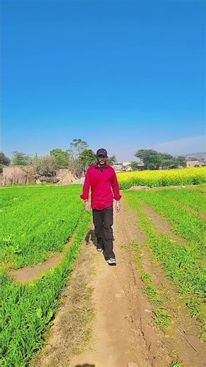 #Mewati video Aslam singer Mewati song serial number A R 7878 Mewati song ❤️🔥😍