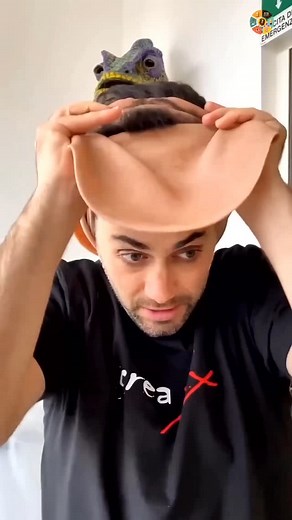 सिलिकॉन फेस मास्क (silicon face mask) के द्वारा अपराधी अपराध क्यों कर रहे हैं? #facts #हिंदीfacts #science #fact💯 | Facts Wala