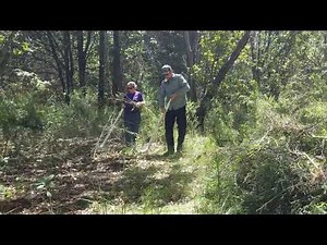 Uprooter time lapse - Clearing Scotch broom at Griffin Park, Oregon