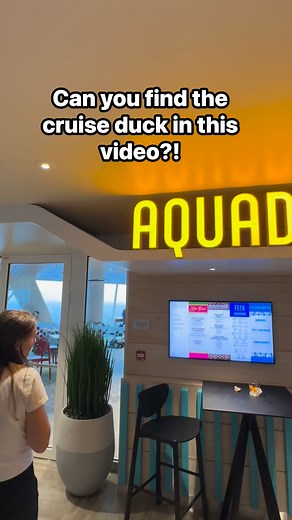 Can you find the hidden rubber duck in the video? Do you hide/find ducks when you cruise? | Instaoftheseas