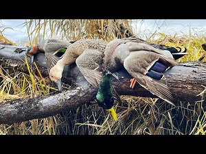 public land solo duck hunt sauvie island