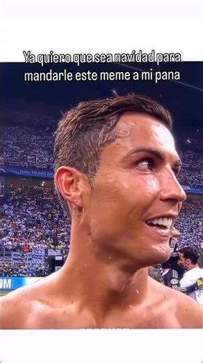 Bicho Navideño #reels #comedia #navidad #memes #shorts #shortvideos #viralshorts #trend #tendencia