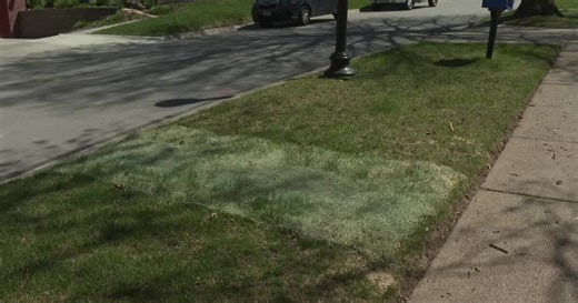 Do you have grass mesh in your yard from cable installation? Here's what to do with it.