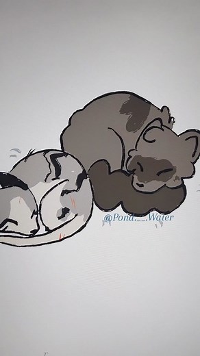 this is exactly how it happened in the book #warriorcats #warriors #thefourthapprentice #ivypool #dovewing #humor #comedy #wc #art