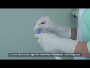 Plant Tissue Culture Explained: From Lab to Life in 60 Seconds