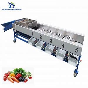 [Hot Item] Advanced Automated Fruit and Vegetable Sorting Technology for Efficiency