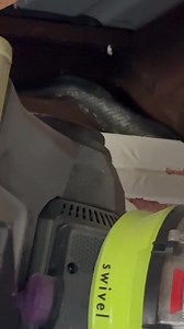 Identify Coryell County Texas | Snake identity | Facebook