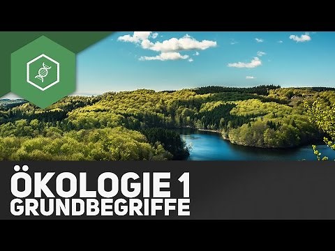 Grundbegriffe der Ökologie - Ökologie 1