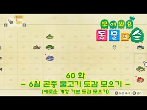 [모여봐요 동물의 숲 60화] 6월 곤충 물고기 도감 모으기 [새로운 계정 기본 도감 모으기] (모동숲 풀 버전)