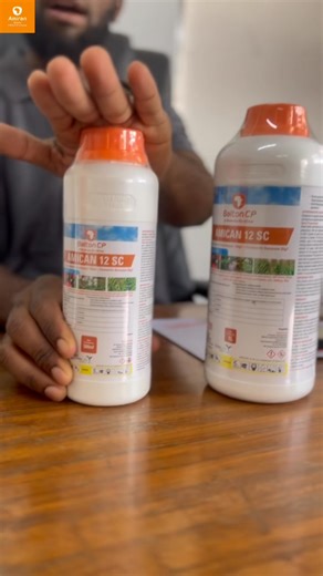 13K views · 263 reactions | Attention Cabbage Farmers!  Tired of...