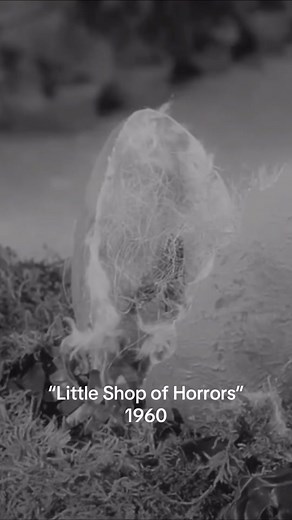 Ford’s Theatre mourns the loss of Roger Corman, “The Pope of Pop Cinema” and the director of “Little Shop of Horrors” (1960). #FilmTok #Filmclips #Theatre #Movie #MovieClips