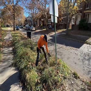 21K views · 429 reactions | Mowing This Yard Turned Into CHAOS When Dogs Attack #fblifestyle | Legacy Actor | Facebook
