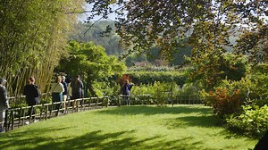 Claude Monet spent countless days perfecting his garden in Giverny, France – not only for his own joy, but to use as an inspiration for his paintings. A true master of making his paintings feel alive, Monet is remembered as the father of Impressionism. “I would like to paint the way a bird sings,” Monet once said. Strolling through Monet’s peaceful gardens, you will certainly understand why he felt this way. | TAUCK