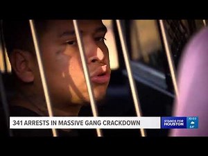341 arrests made in massive gang crackdown