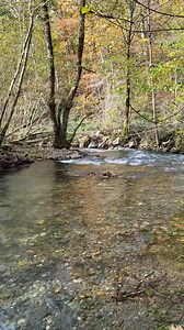 12K views · 1.8K reactions | LA NIVELLE, FORÊT D'AINHOA AUJOURD'HUI. | Pays Basque BAB | Facebook
