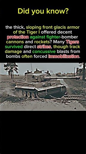 Surviving the Jabos: Tiger Armor vs. Allied Airstrikes#tigertank