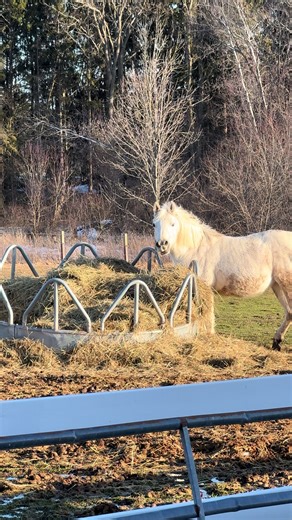 Just vibes… #caledonia #realtor #fyp #foryou #foryoupage