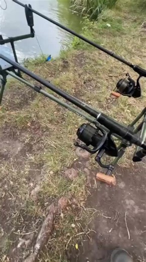 #germancarphunter #karpfen #karpfenangeln #2026 @simon128668 @♊️ @🇩🇪🦅💙🤍 2026 wird prime Jungs🎣❤️(🇦🇹)