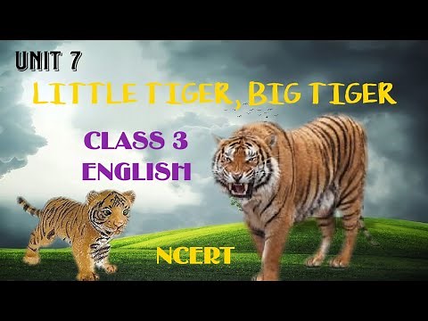 LITTLE TIGER, BIG TIGER / CLASS 3 ENGLISH STORY/ FULL SOLUTION/ NCERT TEXTBOOK MARIGOLD/ NEW WORDS