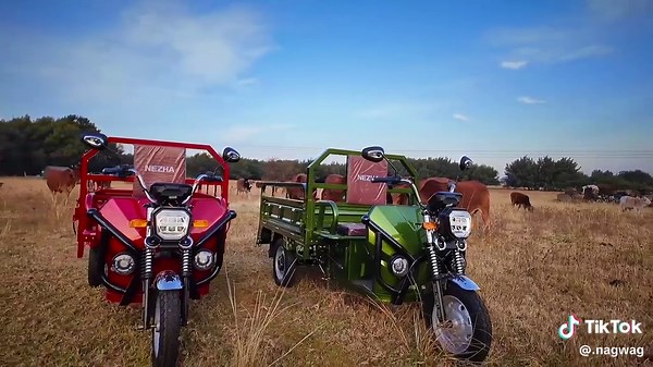 Discover the e-Trail Electric Vehicle for Only R32 500