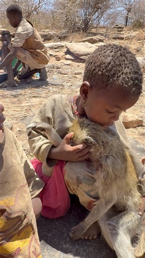 257K views · 1.5K reactions | Learning the secrets of the wild with Hadzabe hunters  #animals #food #fblifestyle #africa #lifelessons | Africa Stories | Facebook