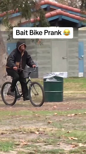 Joey Salads on TikTok