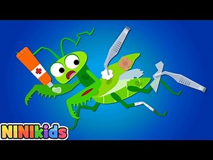 The ladybug is sick! | Treating the insect | Rescue Team | Hospital Play | NINIkids