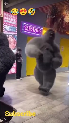Gorilla suit || Funny video