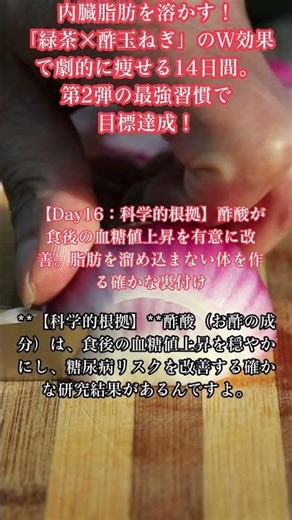 【Day16：科学的根拠】酢酸が食後の血糖値上昇を有意に改善。脂肪を溜め込まない体を作る確かな裏付け
