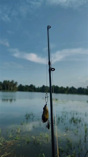 No fish were harmed in the making of this video😂🎣 #fishing #fishingvideo #shortvideo #trending