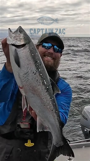 Choppy Seas But The Cohos Don't Mind! #juneau #alaska #fishing #cohosalmon #teamkailyn